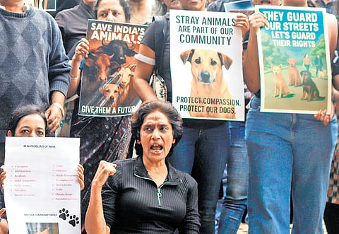 Dog lovers protest against the Supreme Court’s order to move stray dogs to shelters at Freedom Park in Bengaluru on Tuesday
