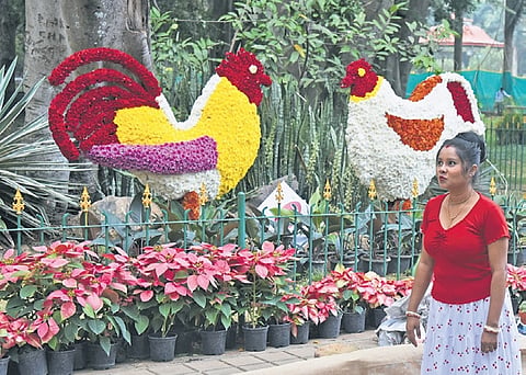 Flower arrangements