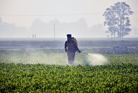 New evidence connects intensive pesticide exposure to neurological disorders