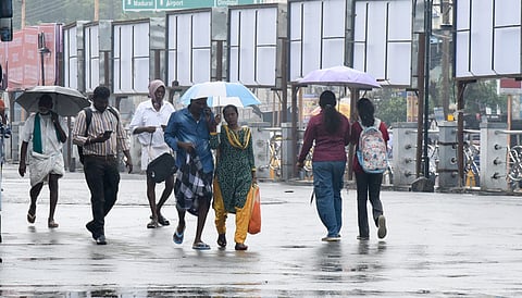 According to official figures, the Thirukanur region received 17 mm of rain, Patukannu recorded 21 mm, while Pangur experienced a significantly higher downpour of 55 mm.