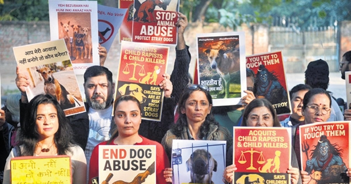 News 4 Animal lovers spam Supreme Court with letter petitions, urge rollback of stray dog removal order