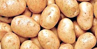 Image used for representative purpose.