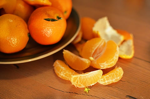 Zesty serves 