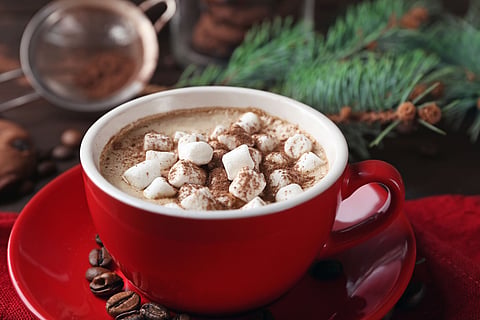 A cup of warmth 