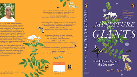 Geetha Iyer’s ‘Miniature Giants’ weaves stories and science 