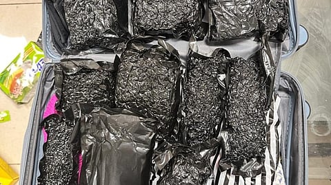 the AIU personnel found a total of 5,061 red-eared slider turtles concealed in plastic containers in their check-in baggage.