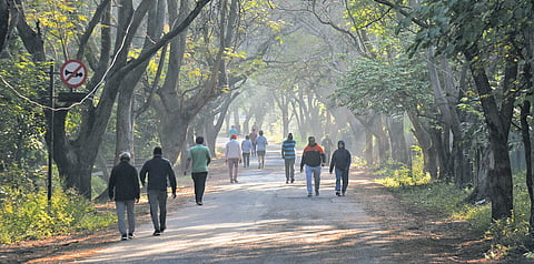Early morning walkers brave the dawn chill at Bangalore University’s Jnanabharathi campus on Wednesday. 