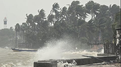 Last week, after Ditwah, a family of four residing in one such house built by NGOs after the 2004 tsunami at Ambedkar Nagar in Nagapattinam municipality sustained injuries after a portion of the ceiling fell on them while they were asleep. 