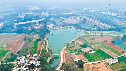 Kanekallu Lake 