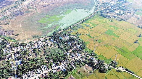 The site of the proposed greenfield airport project in Ekanapuram village 