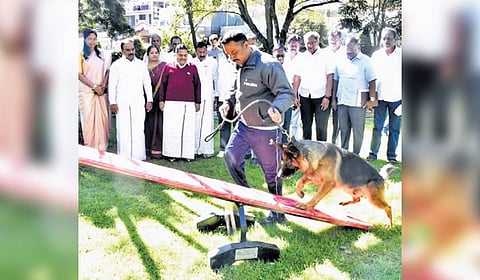 A pet dog being trained at the dog park in Ooty on Sunday 