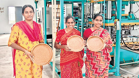 The venture is now witnessing strong domestic demand as awareness grows. 
