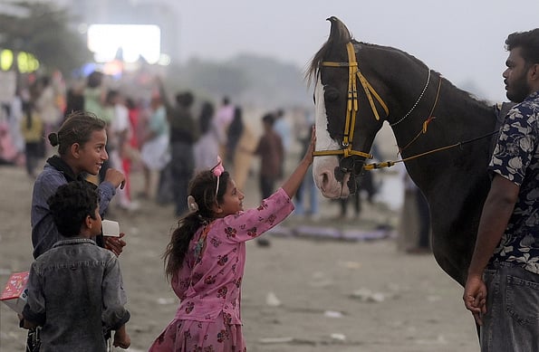 Tamil Nadu government notifies strict rules to regulate joyrides on horses, other equines