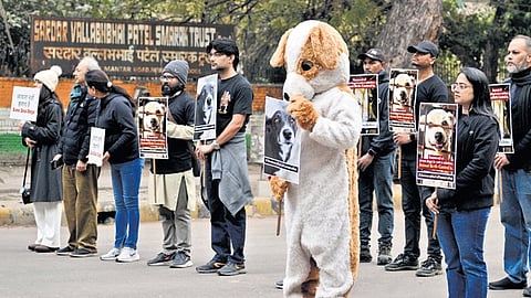 Animal rights activist holds a placard during a protest, urging the Supreme Court to recall its "impractical and inhumane" order on removing street dogs from public spaces, at Jantar Mantar, in New Delhi on Saturday. 