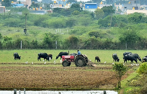 A farmer tills agricultural land with a tractor.