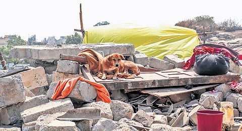 The complaint mentions that the government land was sold fraudulently and unauthorised construction of houses was facilitated at Fakeer Layout in Kogilu.