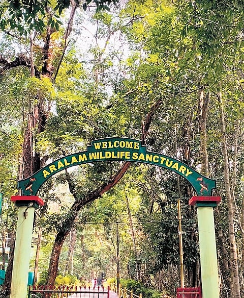 Kerala government has officially renamed the Aralam Wildlife Sanctuary as the Aralam Butterfly Sanctuary