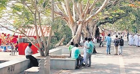 The Marine Drive walkway 