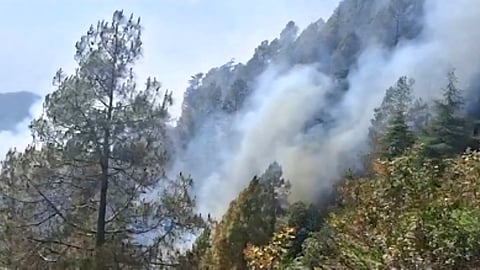 Image of the affected area, where the red color indicates the forest area affected by fire and the green color indicates the 'Valley of Flowers' area in district Chamoli.