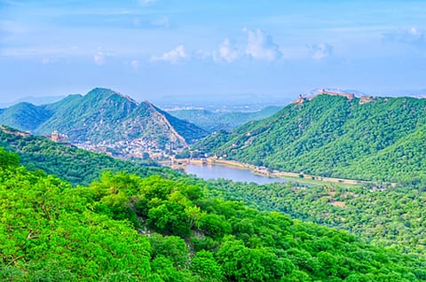 Minister Bhupendra Yadav added that efforts are underway to prevent land degradation and conserve biodiversity through the Aravalli Green Wall Project. 