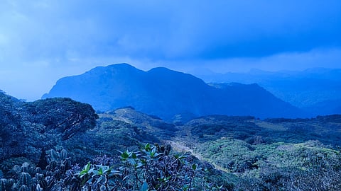 An arduous walk into the wild at Agasthyarkoodam
