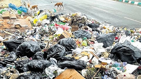 Garbage strewn on roadsides is a common sight in the city 