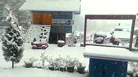 The unexpected snowfall triggered an influx of tourists from across the country, many of whom were experiencing snow for the first time. 