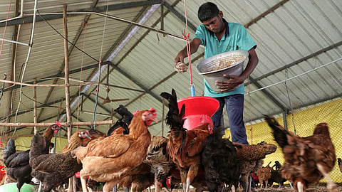 Students of the Sristi Foundation are involved in agricultural farming and are trained in the dairy unit, poultry unit, bakery, food and beverage unit, nursery, and handmade bag production unit.