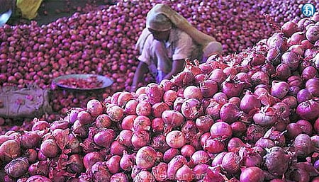  The wholesale prices are at Rs 80-Rs 120 per kg. With arrivals declining by 40% compared to normal levels, market experts expect prices to remain elevated until Deepavali.