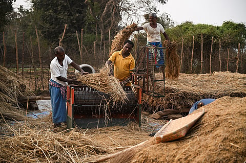 Image used for representative purpose.