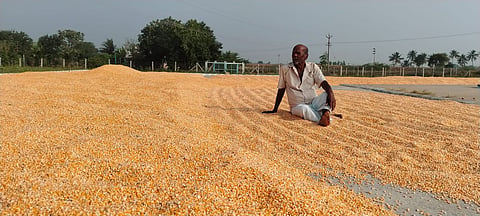 Farmers