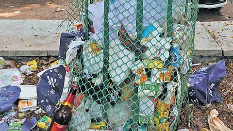 Waste dumped on a sapling planted beside Parade Ground in Fort Kochi 