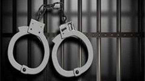 179 peddlers arrested, drugs worth Rs 8.19cr seized in Bengaluru after City Police's weeklong drive.