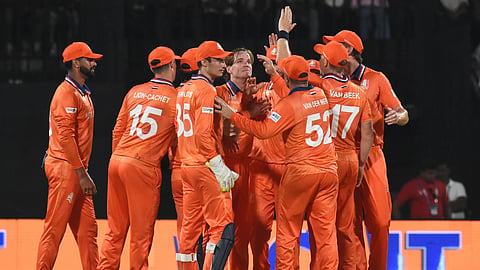 Netherlands players celebrate a wicket on Friday