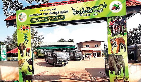 Safaris were closed from November 7 due to increasing man-animal conflict