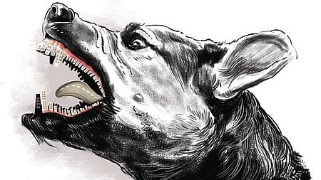 Image used for representative purpose.