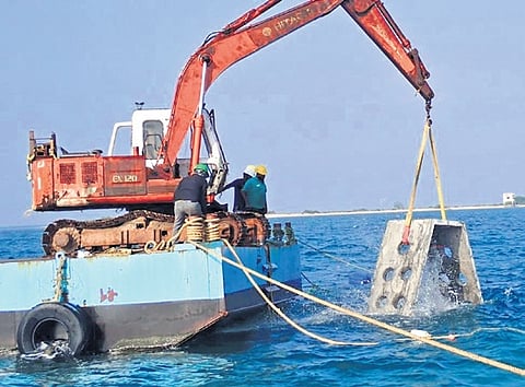 Artificial reefs being deployed to save Kariyachalli island 