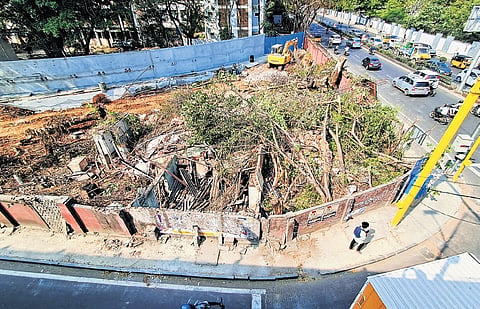 Trees along Sardar Patel Road uprooted for widening works 