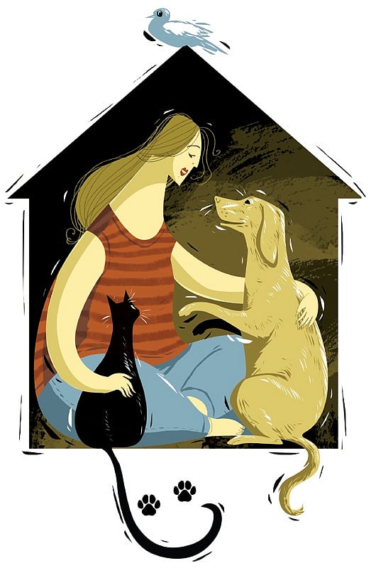 Tamil Nadu government notifies policy to regulate pet boardings