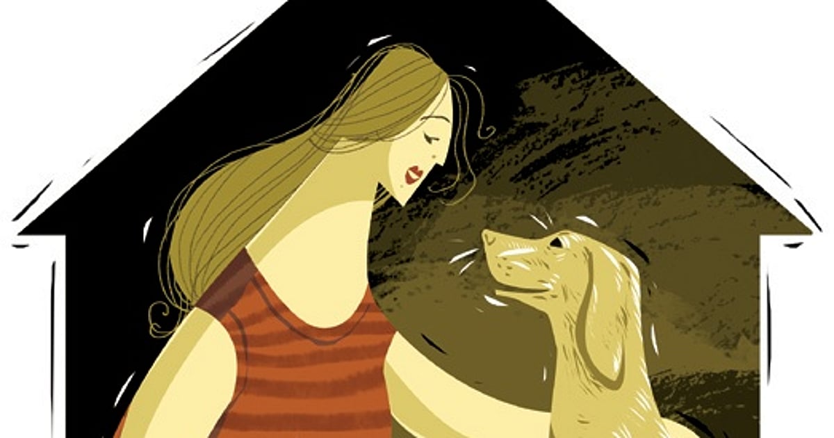 News 23 Tamil Nadu government notifies policy to regulate pet boardings