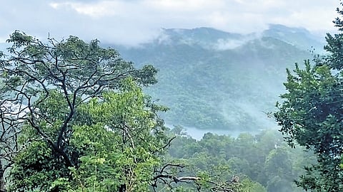 The Sharavathi Valley 