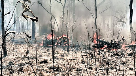 The raging fire in Nallamala forest on Thursday 