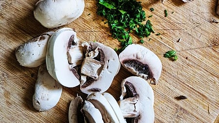 Mushroom 