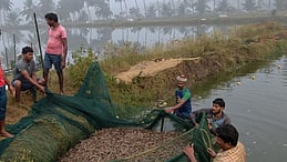 Godavari districts aquaculture farmers