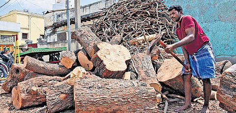 Firewood is selling like hotcakes in Tiruchy with the cost of wood doubling from Rs 3,000/tonne to Rs 6,000/tonne in recent days due to the LPG crisis 