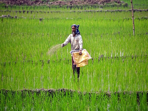 Rising temperatures and weakened rainfall could trigger prolonged dry spells, severely affecting crop sowing, growth, and yields.