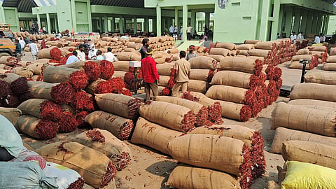  Farmers are arrived with their red chillis to the Enumamula Agricultural Market in Warangal on Monday