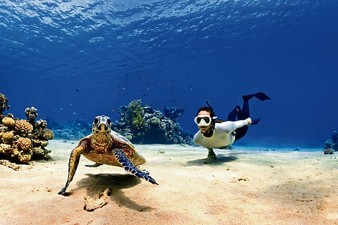 Scuba Diving