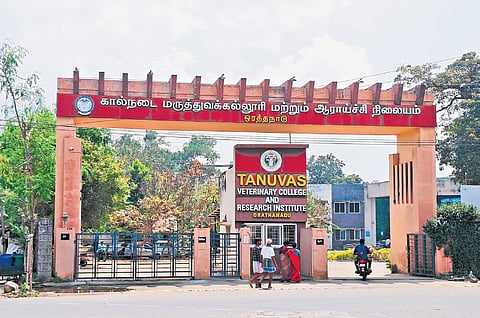 Veterinary College and Research Institute in Orathanadu, Thanjavur 