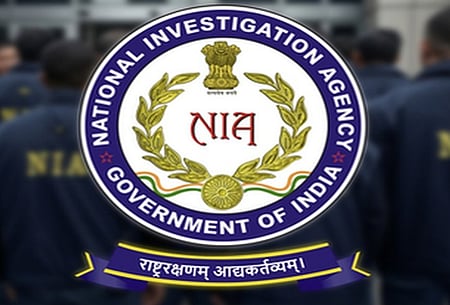 NIA emblem used for representation